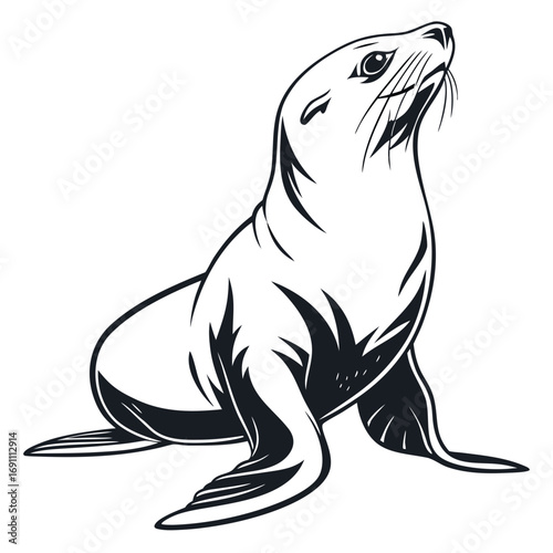 Stylized Seal Marine Animal Vector Illustration.