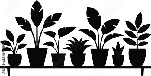 Black silhouette of potted plants on a shelf white