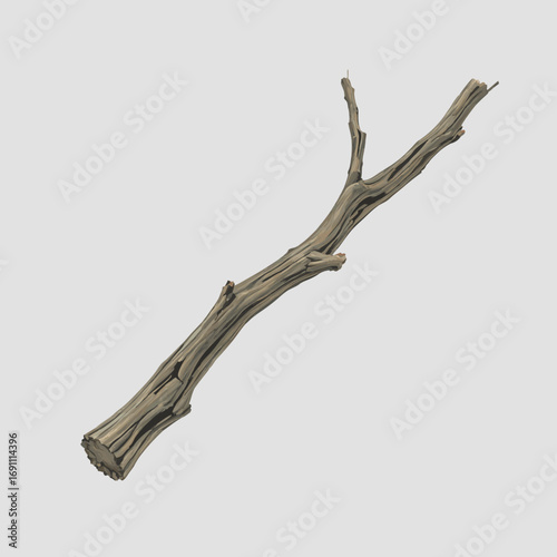 dead tree isolated on white