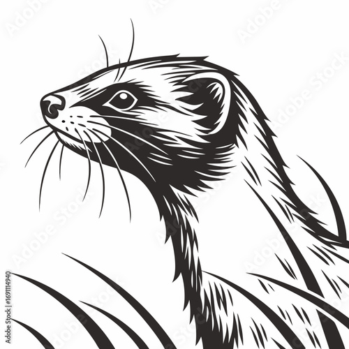 Black and white illustration of a ferret peeking through grass