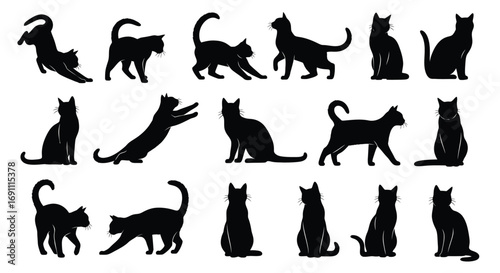 Collection of black cat silhouettes in various poses, including sitting, stretching, jumping, and walking, isolated on a