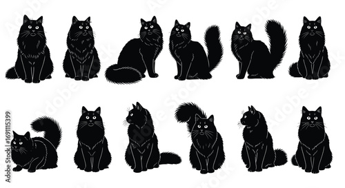 Group of fluffy black cat illustrations in various sitting and lying poses, with detailed fur texture and expressive eyes, isolated on a