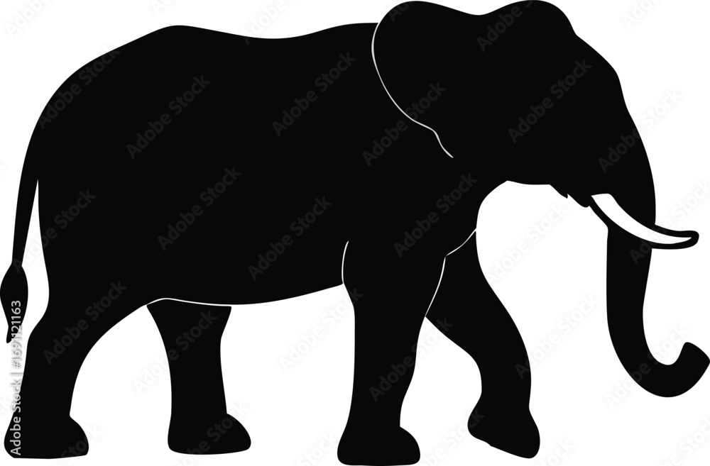 Fototapeta premium elephant isolated on white background