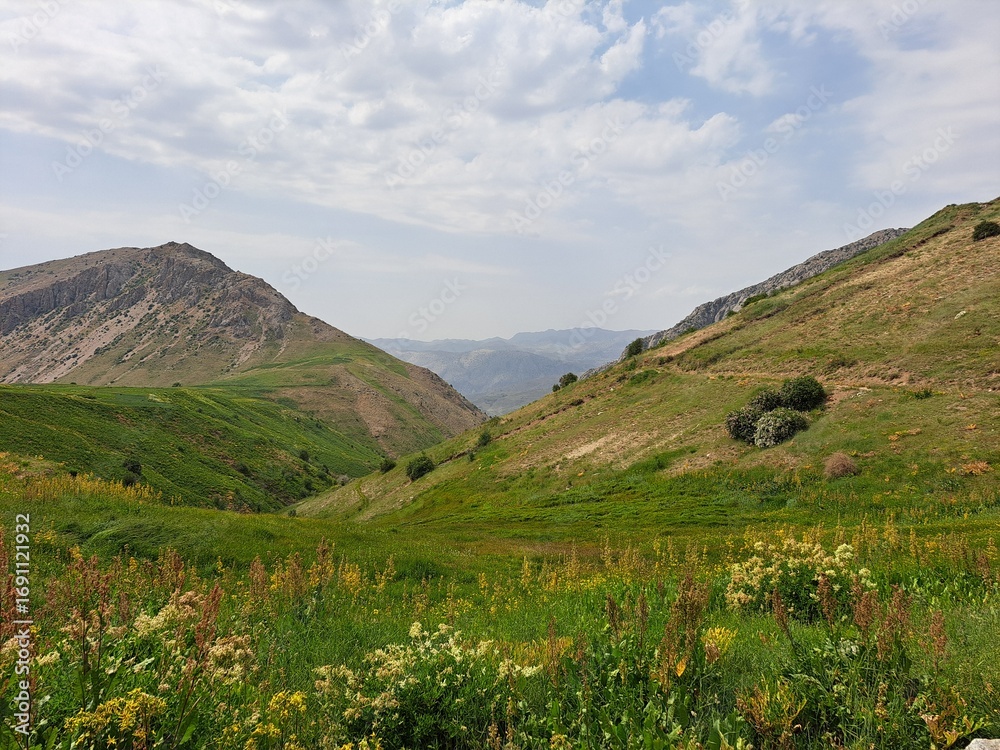 Fototapeta premium Meadow among the Gissar (Hisar) Mountains near the Sarchashma Village in Uzbekistan