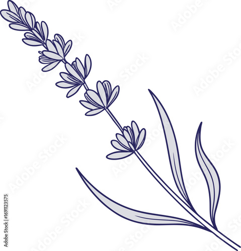 Yin Yang Symbol: Vector Illustration