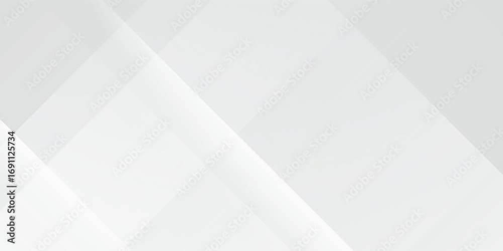 Fototapeta premium Abstract white and gray background. smooth abstract background, blurred pattern. Light pale vector background