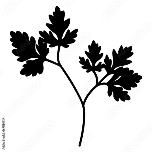 Parsley leaf outline vector, a modern parsley leaf icon art design, black vector of various leaves, simple various leafs art, parsley leaf isolated
