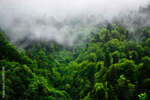 Stuning forest and river views of Karadeniz Black Sea region of Northern Turkey Camlihemsin Cat Village in Rize Turkey