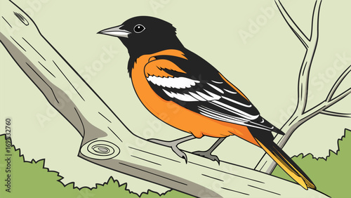 Vector illustration of a colorful bird with orange feathers and a beak sitting on a branch