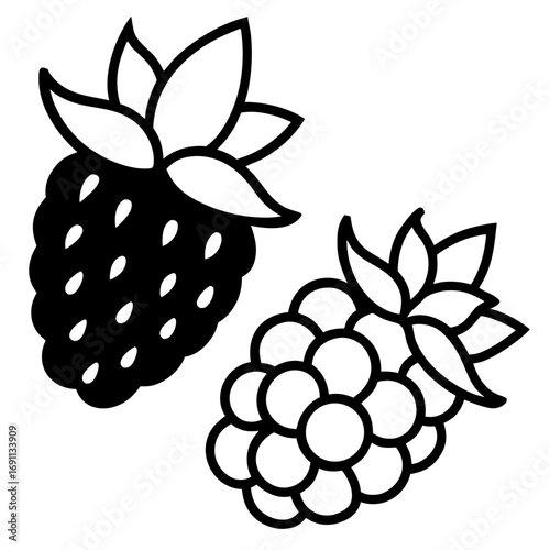 Raspberry outline vector, a modern raspberry icon art design, black vector raspberry outline, black vector of raspberry, simple raspberry art