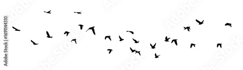 Wallpaper Mural Flying birds silhouette flock. hand drawing. Not AI. Vector illustration. Torontodigital.ca