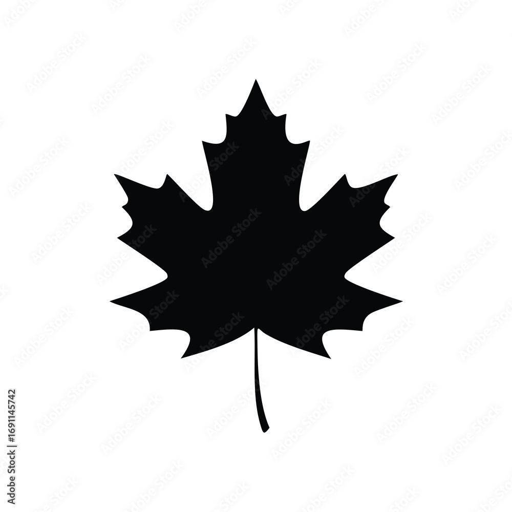 Fototapeta premium Black maple leaf silhouette nature autumn