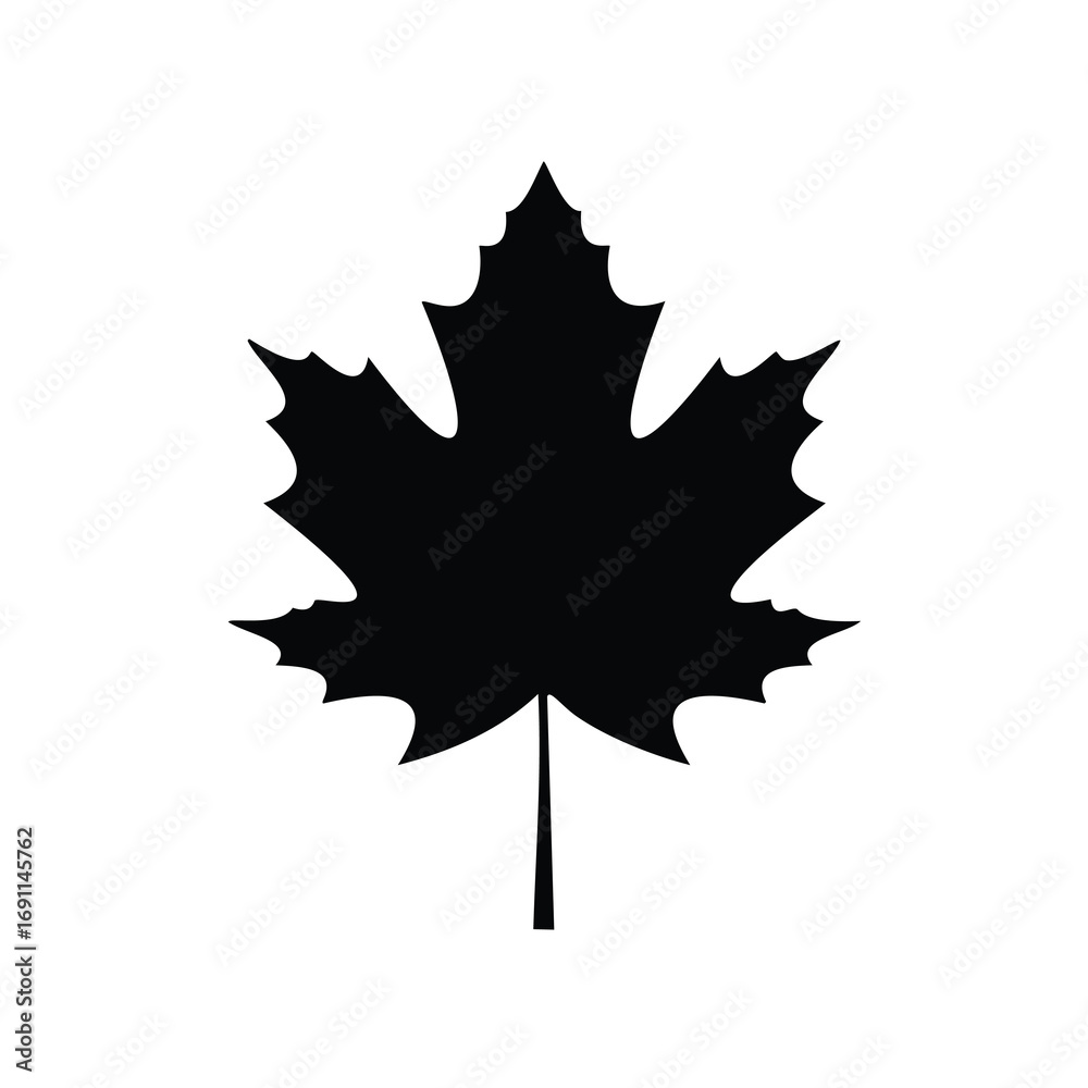 Fototapeta premium Black maple leaf silhouette white nature
