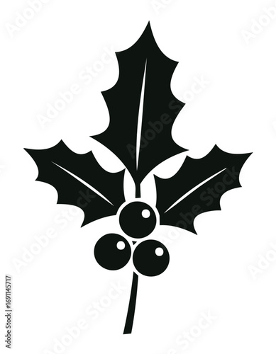 Black holly leaves and berries plant nature
