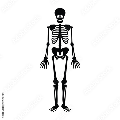 Black human skeleton standing full body anatomy bones
