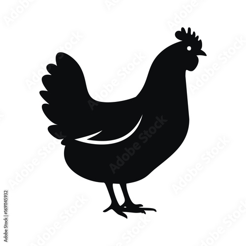 Black silhouette of a hen standing chicken poultry