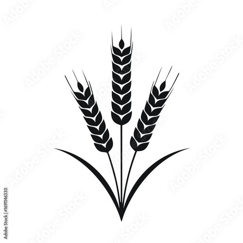 Black wheat stalks with leaves grain agriculture