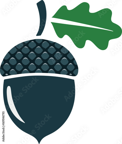 Dark blue acorn with green leaf oak leaf nature