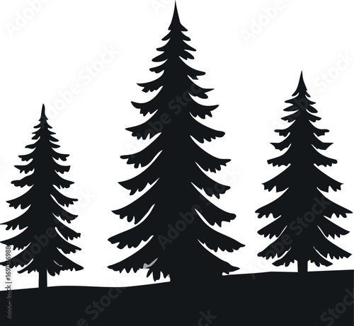 Dark evergreen trees on white background dark silhouette forest