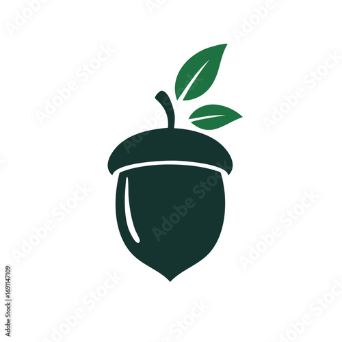Dark green acorn with leaves seed plant
