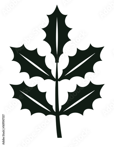 Dark green holly leaf silhouette plant nature