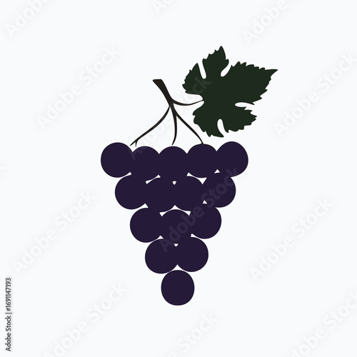 Dark purple grapes with green leaf fruit vine