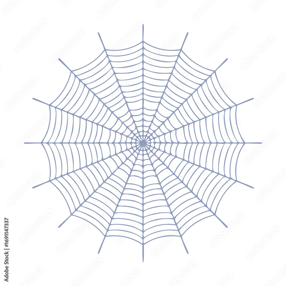 Fototapeta premium Delicate grey spiderweb pattern on white background arachnid insect
