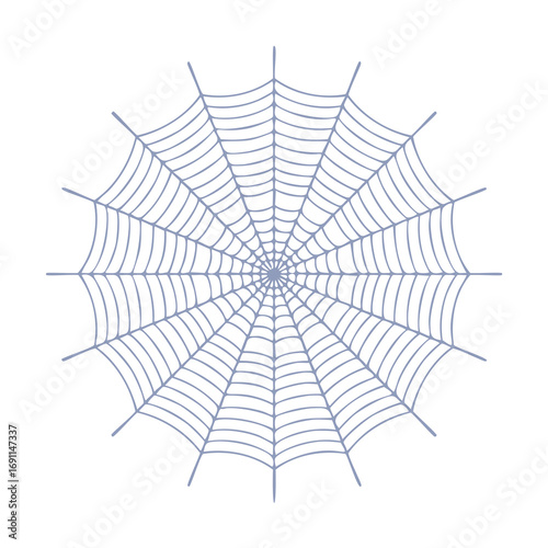 Delicate grey spiderweb pattern on white background arachnid insect