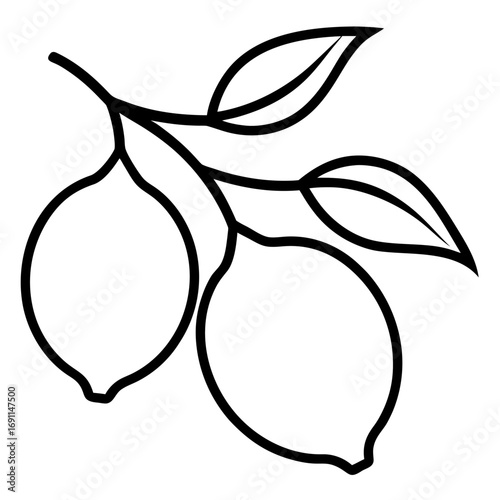 Lemon with leaves outline vector, a modern lemon icon art design, black vector of a lemon, simple lemon art, a lemon isolated