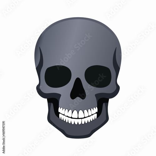 Gray skull with dark eye sockets and white teeth human skull