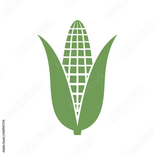 Green corn cob with leaves maize grain