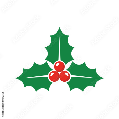Green holly leaves with red berries vector