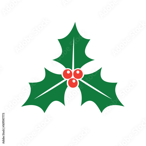 Green holly leaves with red berries vector