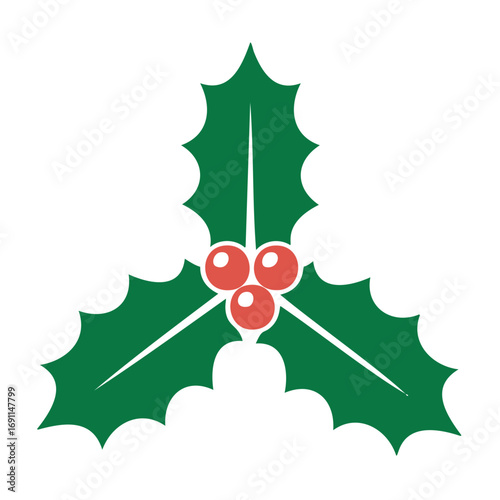 Green holly leaves with red berries vector