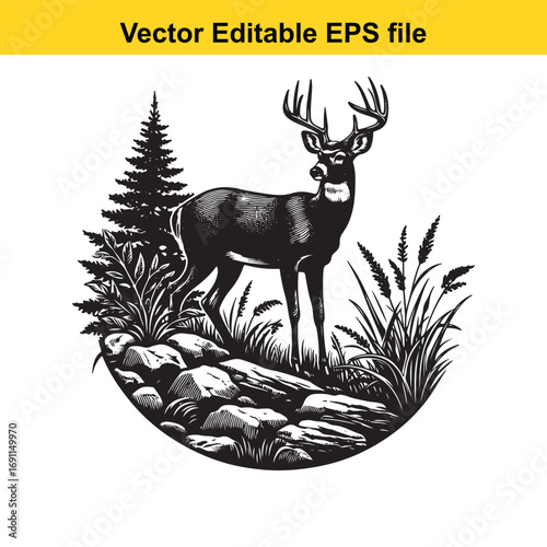 Vector illustration of a deer standing in a forest with rocks and plants, isolated on white background