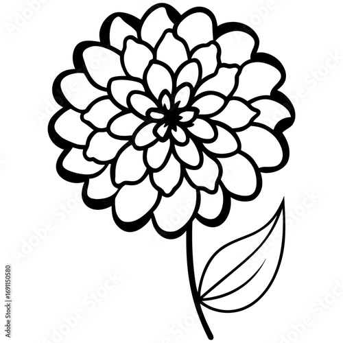 Zinnia flower outline vector, a modern zinnia flower icon art design, black vector of a zinnia flower, simple zinnia flower art, a zinnia flower isolated
