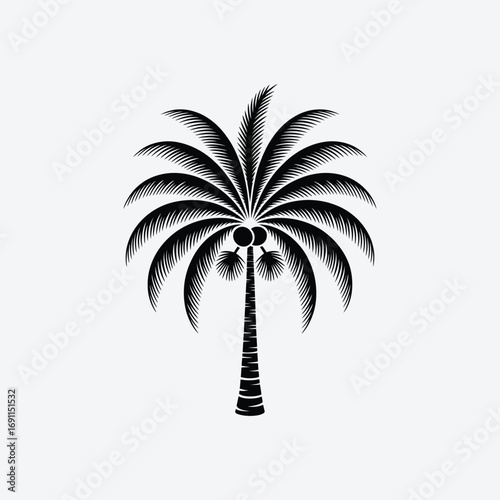 Vector art of tropical palm tree with coconuts illustration, a symbol of paradise and relaxation