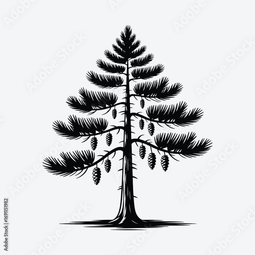 Illustration of a pine tree with cones, a timeless symbol of natures beauty and resilience
