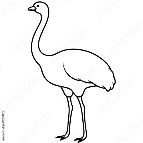 Ostrich bird outline vector, a modern ostrich bird icon art design, black vector of an ostrich bird, simple ostrich bird art, an ostrich bird isolated