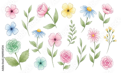 Watercolor floral elements set with various flowers and leaves, illustration