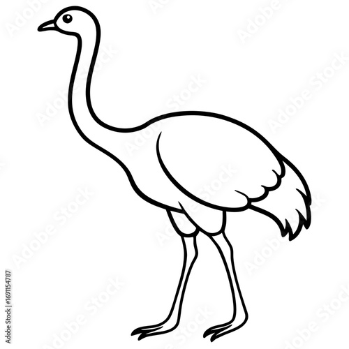 Ostrich bird outline vector, a modern ostrich bird icon art design, black vector of an ostrich bird, simple ostrich bird art, an ostrich bird isolated