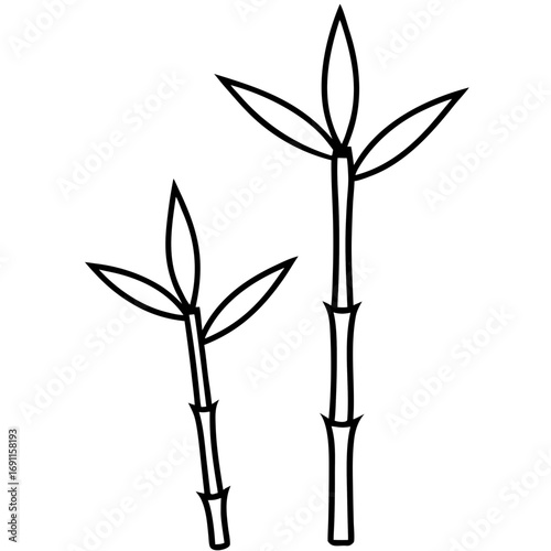 Bamboo tree vector, a modern bamboo leaves art design, black vector of a bamboo leaves outline, simple bamboo leaves art, a set of bamboo leaves isolated