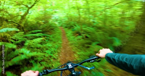 GoPro POV Ride on Scenic Singletrack Trail in Dense Forest