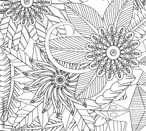 Vector illustration flowers coloring pages for kdp 