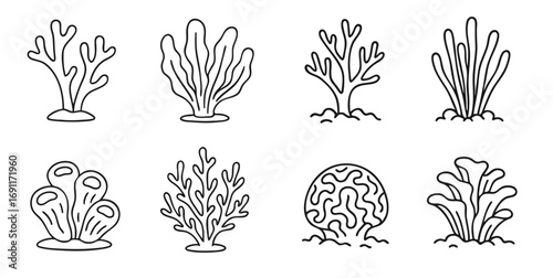 Eigght drawings of coral reef for engraving