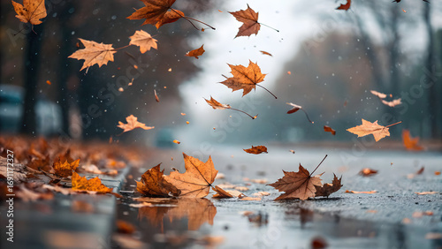 Autumn leaves dance and swirl in a gust of wind on a rainy day