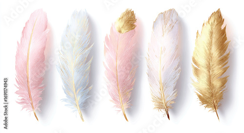 Elegant collection of soft colored feathers with gold accents in a stylish composition for graphic design resources