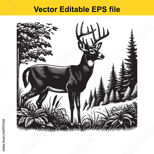 Majestic stag with large antlers standing in a forest clearing