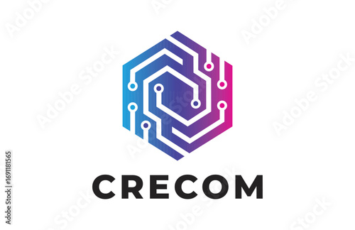 Modern Hexagon Logo Design for Business