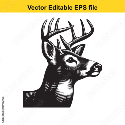 Black and white illustration of a deer head isolated on white background